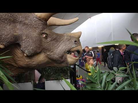 3 meter tall triceratops 3d printed