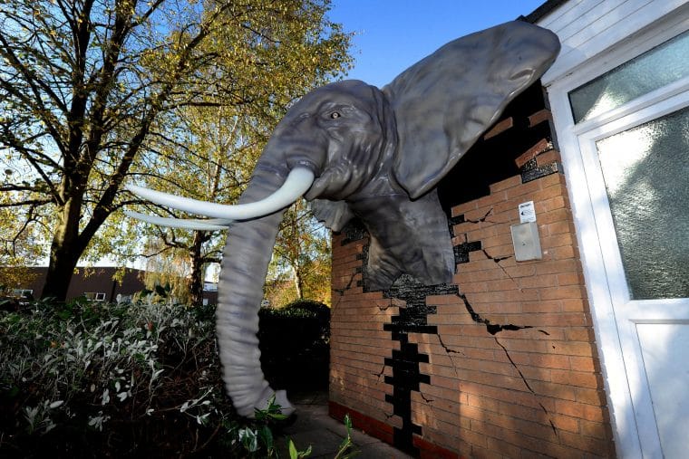 Andesign 3D Printed African Elephant