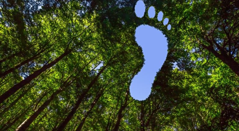 Sustainability and Additive Manufacturing